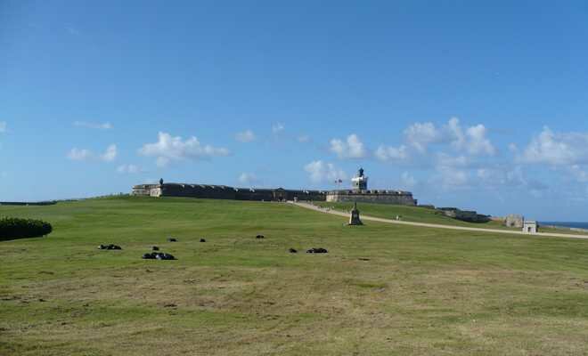 El Morro Photo - El Morro/Castillo de San Felipe del Morro, San Juan, Puerto Rico 