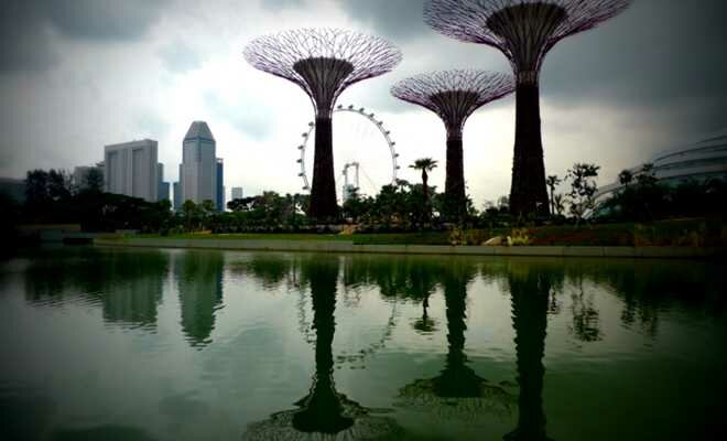 Gardens by the Bay Photo - Gardens by the Bay, Singapore, Asia 