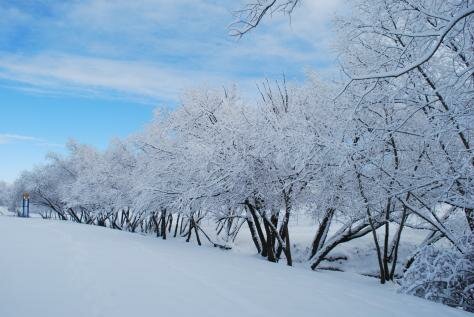 A winter scene in Grangeville Id. Photo - Grangeville, Idaho 